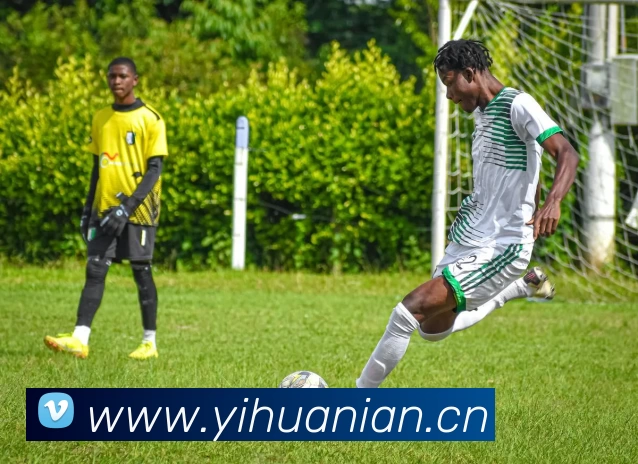 多媒体互动体验